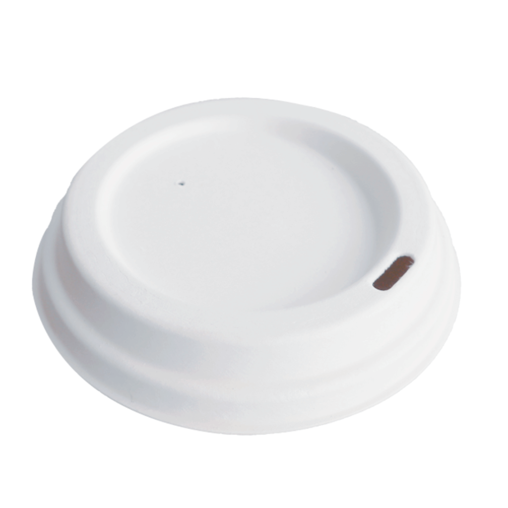 sugarcane-bagasse-plate-supplier-in-delhi