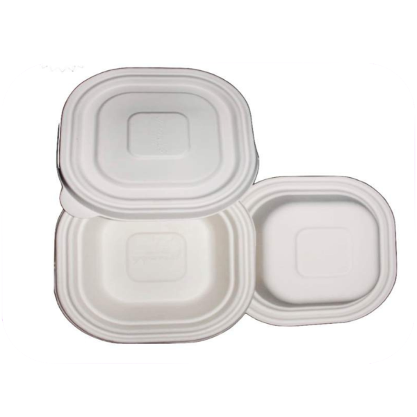 Eco friendly food containers supplier in Delhi